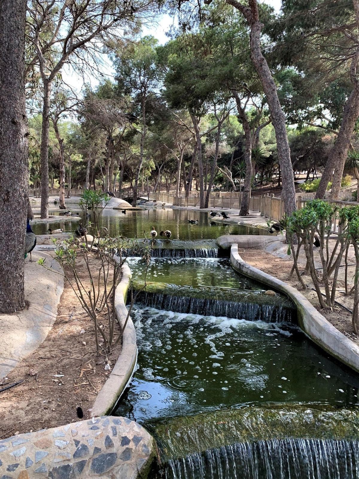 Casa Karimar Gallery