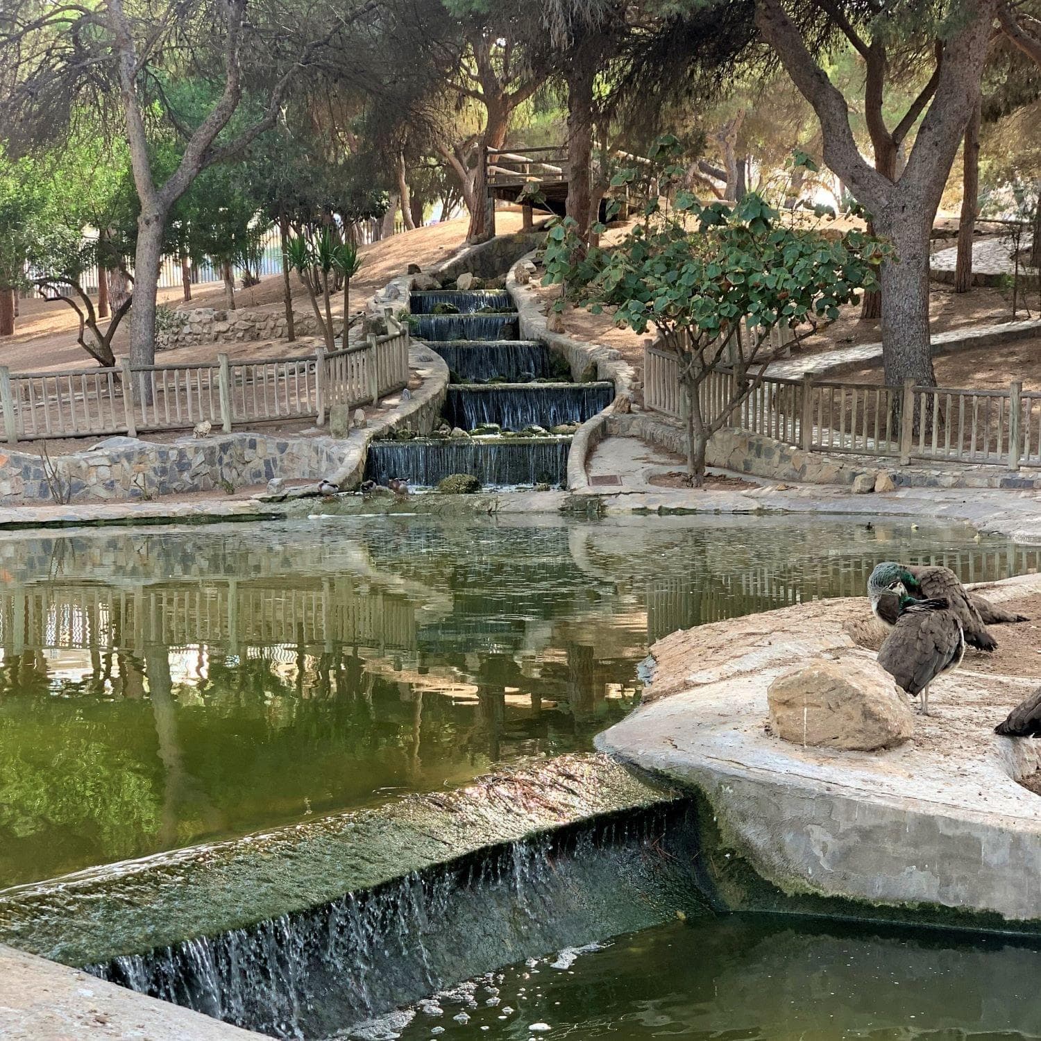 Casa Karimar Gallery